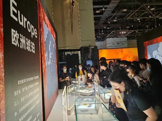 image-20240131224111-6